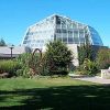 butterfly-conservatory-bus-tour-niagara-falls